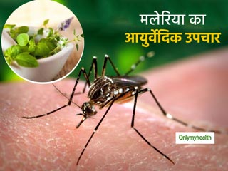 मलेरिया बुखार से छुटकारा दिलाती हैं ये 5 आयुर्वेदिक औषधियां, सिर दर्द से मिलती है राहत